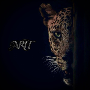 夫妻夜里看的AV
