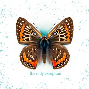 夫妻夜里看的AV
